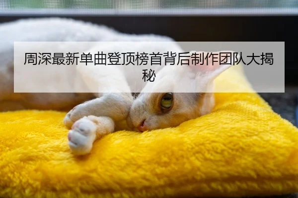 周深最新单曲登顶榜首背后制作团队大揭秘