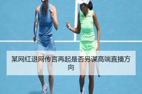 某网红退网传言再起是否另谋高端直播方向